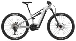 Bild Moterra Neo 3 Silber -- Arlberg.bike